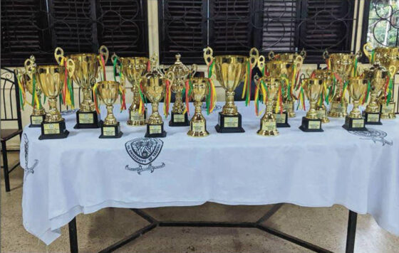 19 trophées décrochés, toutes discipline…